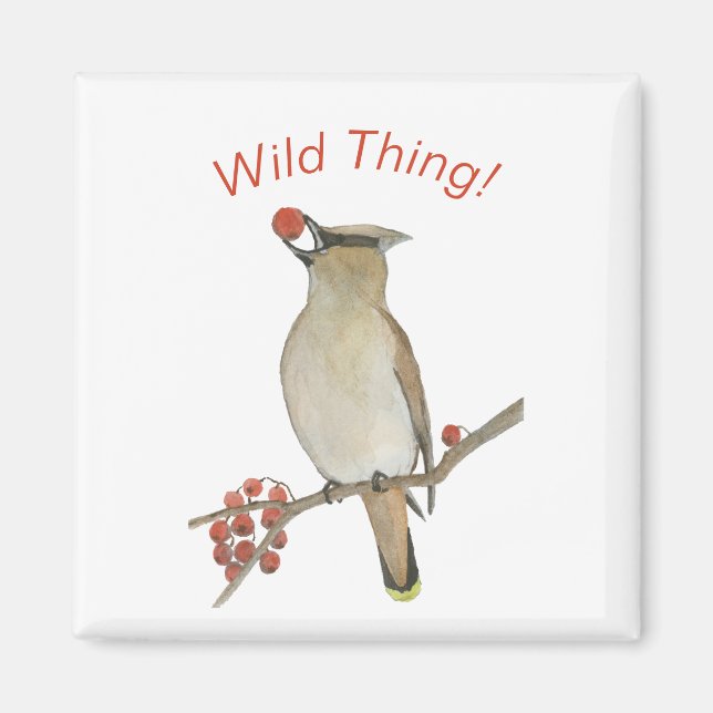 Cedar Waxwing Magnet (Framsidan)