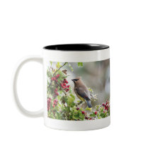 Cedar Waxwing mugg