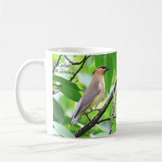 Cedar Waxwing Mugg av BirdingCollectibles