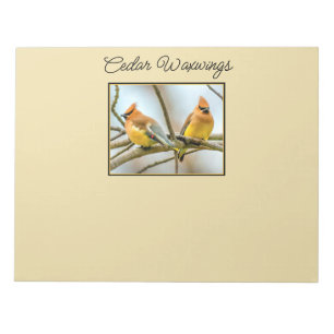 Cedar Waxwing - Originalfoto Anteckningsblock