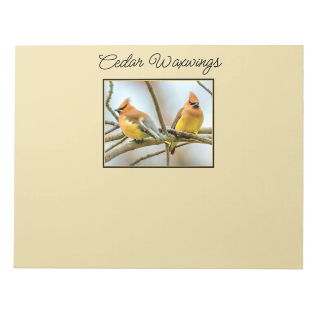 Cedar Waxwing - Originalfoto Anteckningsblock (Framsida)