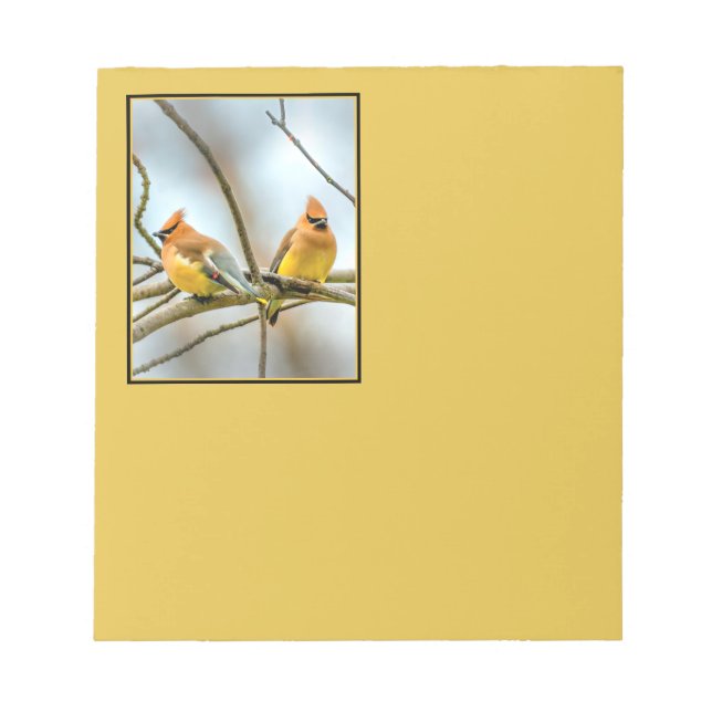 Cedar Waxwing - Originalfoto Anteckningsblock (Framsida)