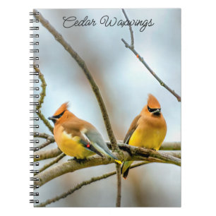 Cedar Waxwing - Originalfoto Anteckningsbok