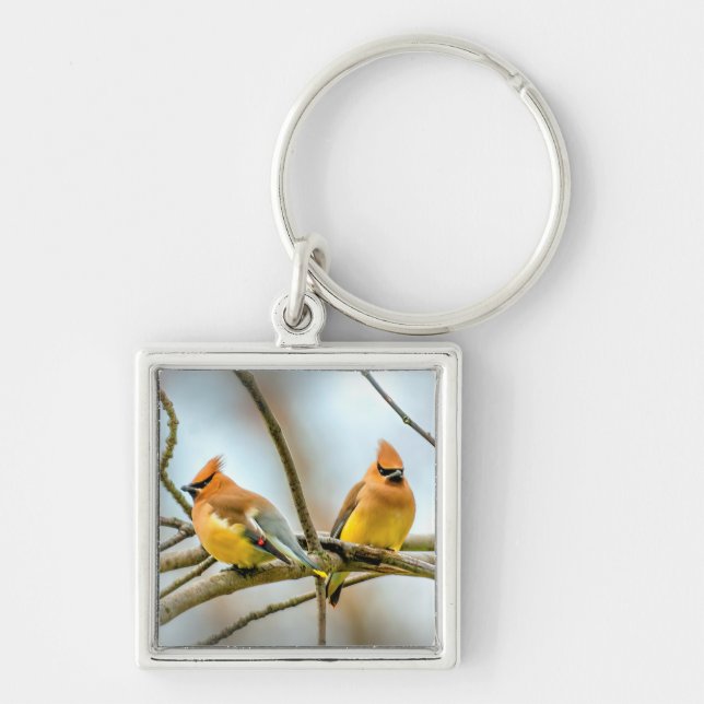 Cedar Waxwing - Originalfoto Fyrkantig Silverfärgad Nyckelring (Framsidan)