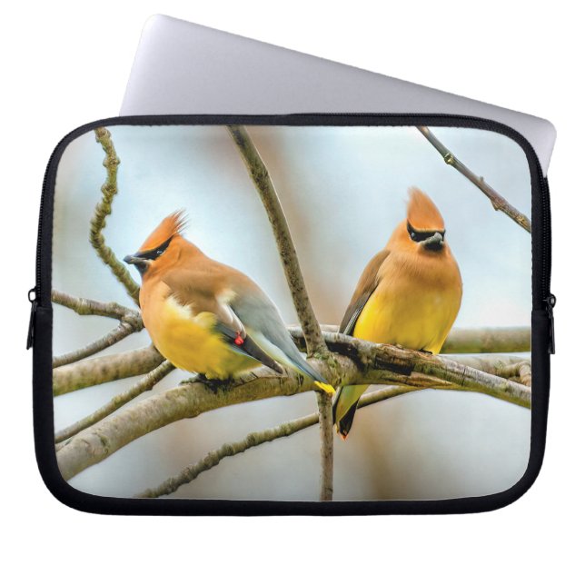 Cedar Waxwing - Originalfoto Laptop Fodral (Framsidan)