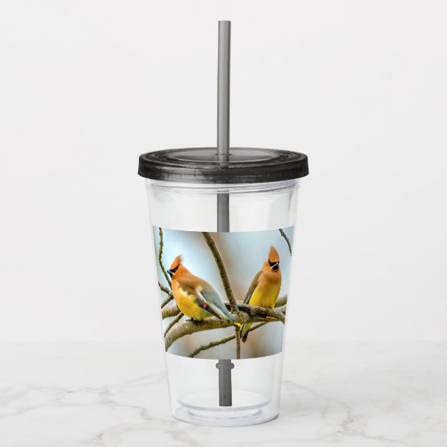 Cedar Waxwing - Originalfoto Take Away Mugg (Framsida)