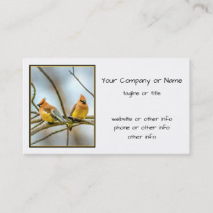 Cedar Waxwing - Originalfoto Visitkort