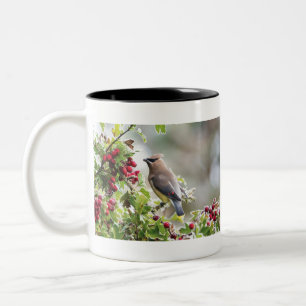 Cedar Waxwing, Peace, Kärlek & Joy Coffee Mugg