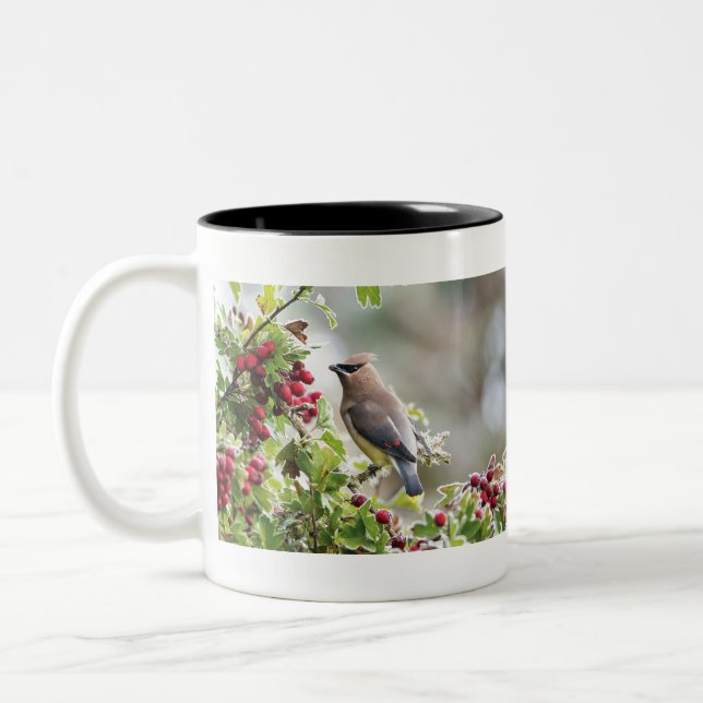 Cedar Waxwing, Peace, Kärlek & Joy Coffee Mugg (Vänster)