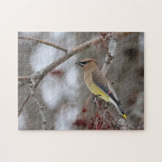 Cedar Waxwing Pussel