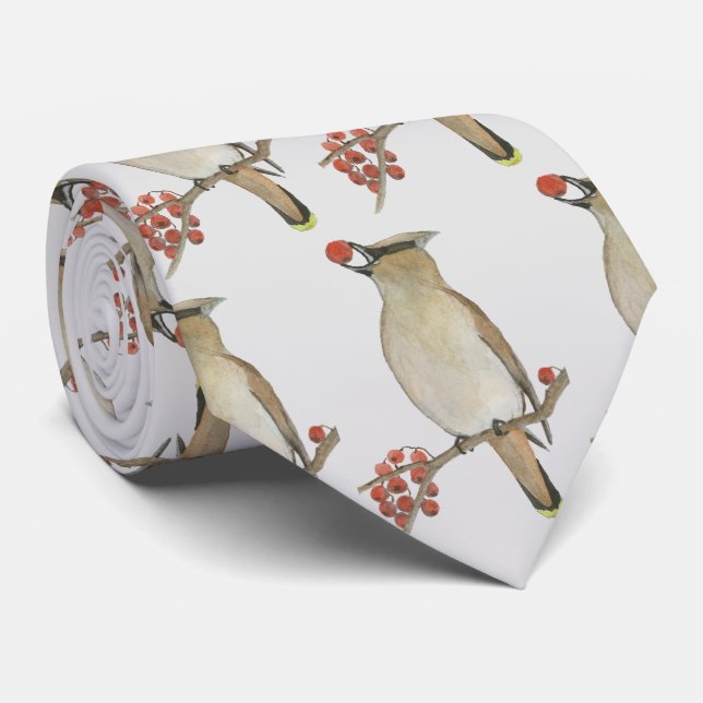 Cedar Waxwing Slips (Rullad)