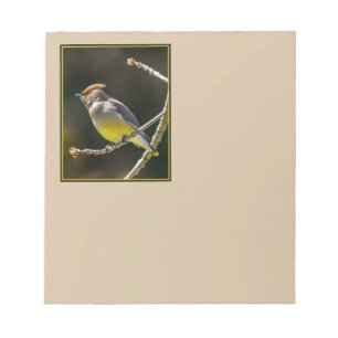 Cedar Waxwing Songbird Original Vild Bird Photo Anteckningsblock