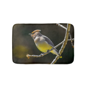Cedar Waxwing Songbird Original Vild Bird Photo Badrumsmatta