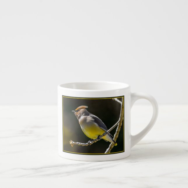 Cedar Waxwing Songbird Original Vild Bird Photo Espressomugg (Höger)