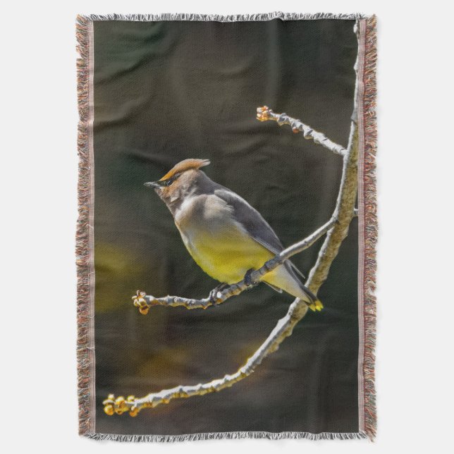 Cedar Waxwing Songbird Original Vild Bird Photo Filt (Framsidan Vertikal)