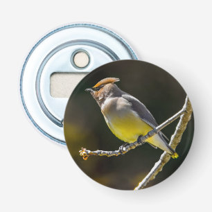 Cedar Waxwing Songbird Original Vild Bird Photo Flasköppnare