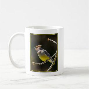 Cedar Waxwing Songbird Original Vild Bird Photo Kaffemugg