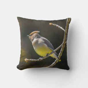 Cedar Waxwing Songbird Original Vild Bird Photo Kudde