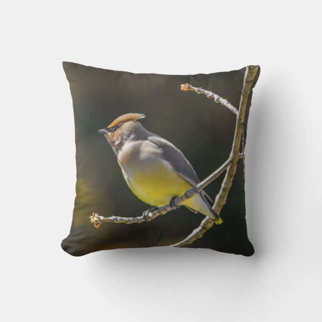 Cedar Waxwing Songbird Original Vild Bird Photo Kudde (Framsida)