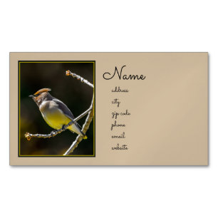 Cedar Waxwing Songbird Original Vild Bird Photo Magnetiska Visitkort