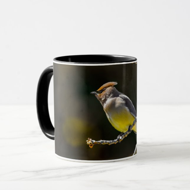 Cedar Waxwing Songbird Original Vild Bird Photo Mugg (Framsida vänster)