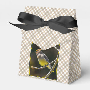 Cedar Waxwing Songbird Original Vild Bird Photo Presentaskar