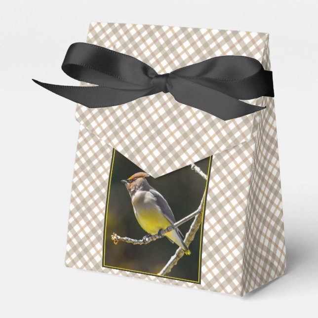 Cedar Waxwing Songbird Original Vild Bird Photo Presentaskar (Framsidan Sidan)