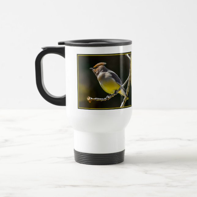 Cedar Waxwing Songbird Original Vild Bird Photo Resemugg (Vänster)