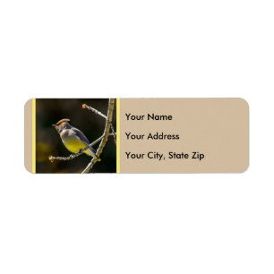 Cedar Waxwing Songbird Original Vild Bird Photo Returadress Etikett