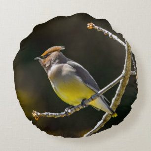 Cedar Waxwing Songbird Original Vild Bird Photo Rund Kudde