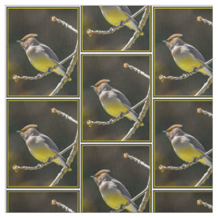 Cedar Waxwing Songbird Original Vild Bird Photo Tyg