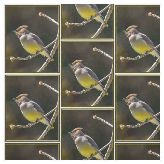 Cedar Waxwing Songbird Original Vild Bird Photo Tyg (Provkarta)