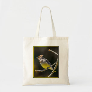 Cedar Waxwing Songbird Original Vild Bird Photo Tygkasse
