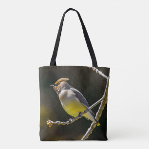 Cedar Waxwing Songbird Original Vild Bird Photo Tygkasse