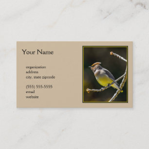 Cedar Waxwing Songbird Original Vild Bird Photo Visitkort