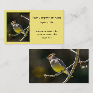 Cedar Waxwing Songbird Original Vild Bird Photo Visitkort