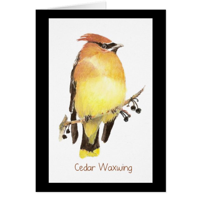 Cedar Waxwing, Watercolor Bird Hälsningskort (Framsidan)