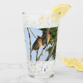 Cedar Waxwings - Backyard Bird Series - Glass Glaskopp