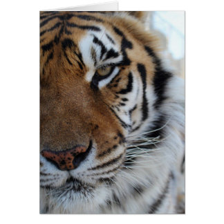 Cedarhill djurt fristadkort hälsningskort