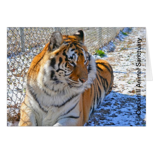 Cedarhill djurt fristadkort hälsningskort (Framsidan Horizontal)