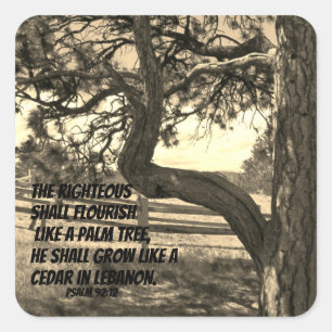 Cedars of Libanon Bible Verse Psalm 91:12 Fyrkantigt Klistermärke