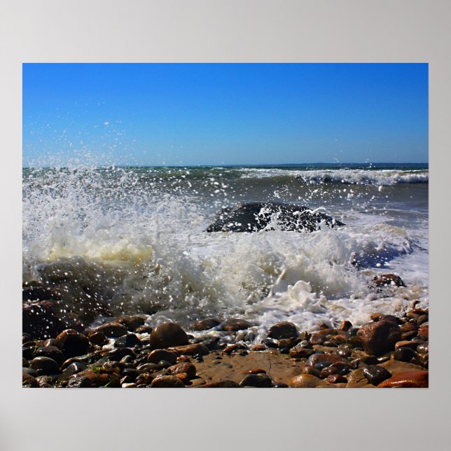 CedarTreeNeck16x20 Poster (Framsidan)