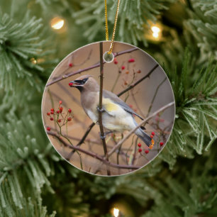 Cedarväv  Julprydnad Julgransprydnad Keramik