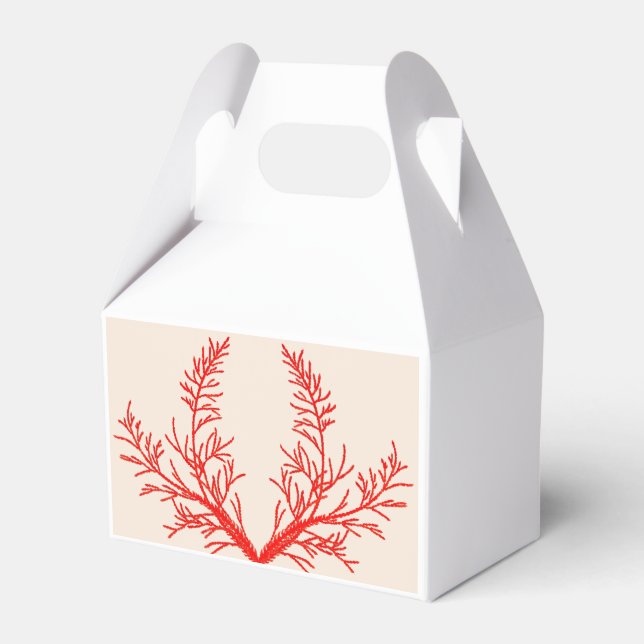 Cederblad på en taklist Favoritlåda Presentaskar (Framsidan Sidan)