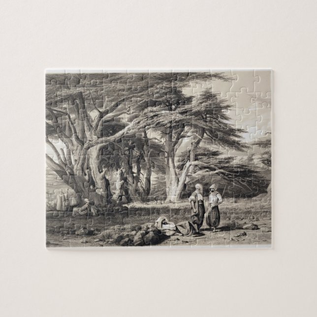 Cederträ av Libanon som inristas av borgare (sepia Pussel (Horisontell)