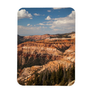 Cederträ bryter medborgaremonumentet, Utah Magnet
