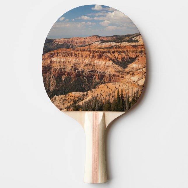 Cederträ bryter medborgaremonumentet, Utah Pingisracket (Framsidan)