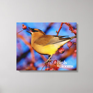 CederträWaxwing Canvastryck