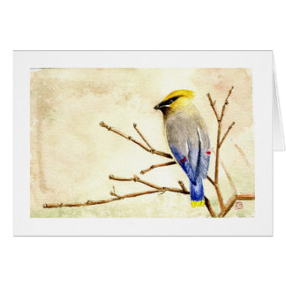 CederträWaxwing Hälsningskort