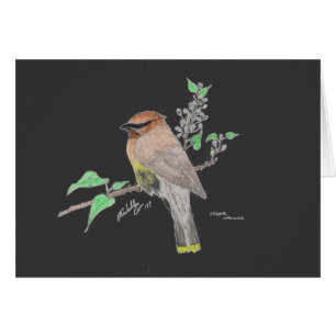 CederträWaxwing Hälsningskort